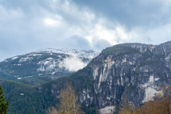 #444 - 38362 Buckley Avenue